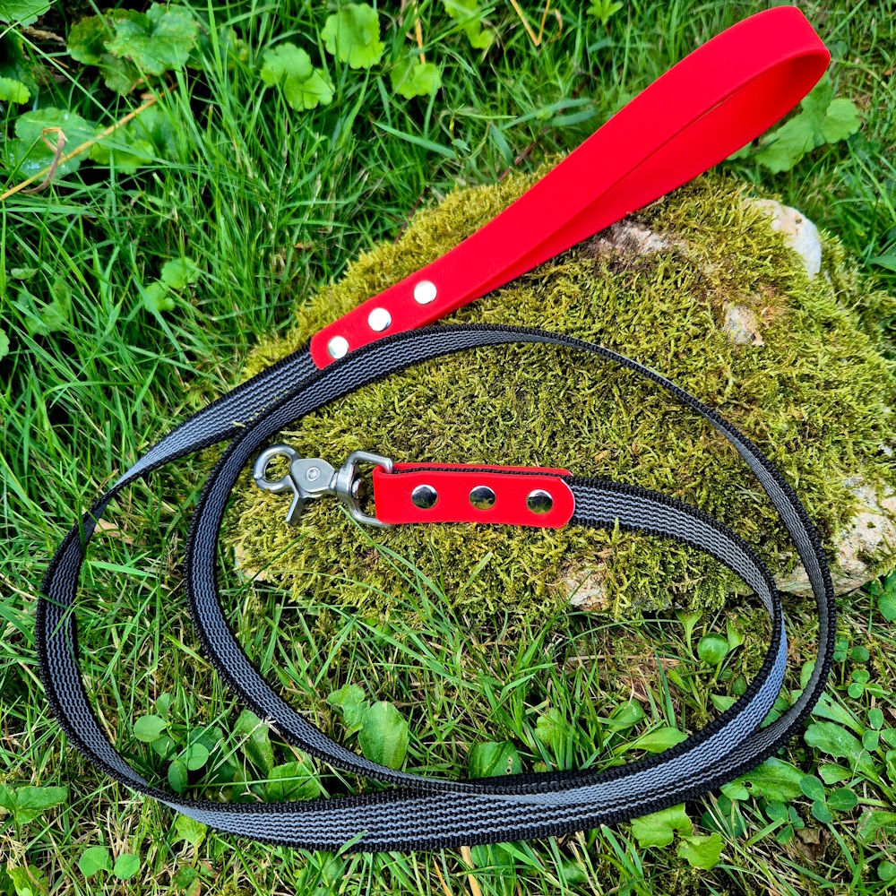 Laisse pawtex rouge