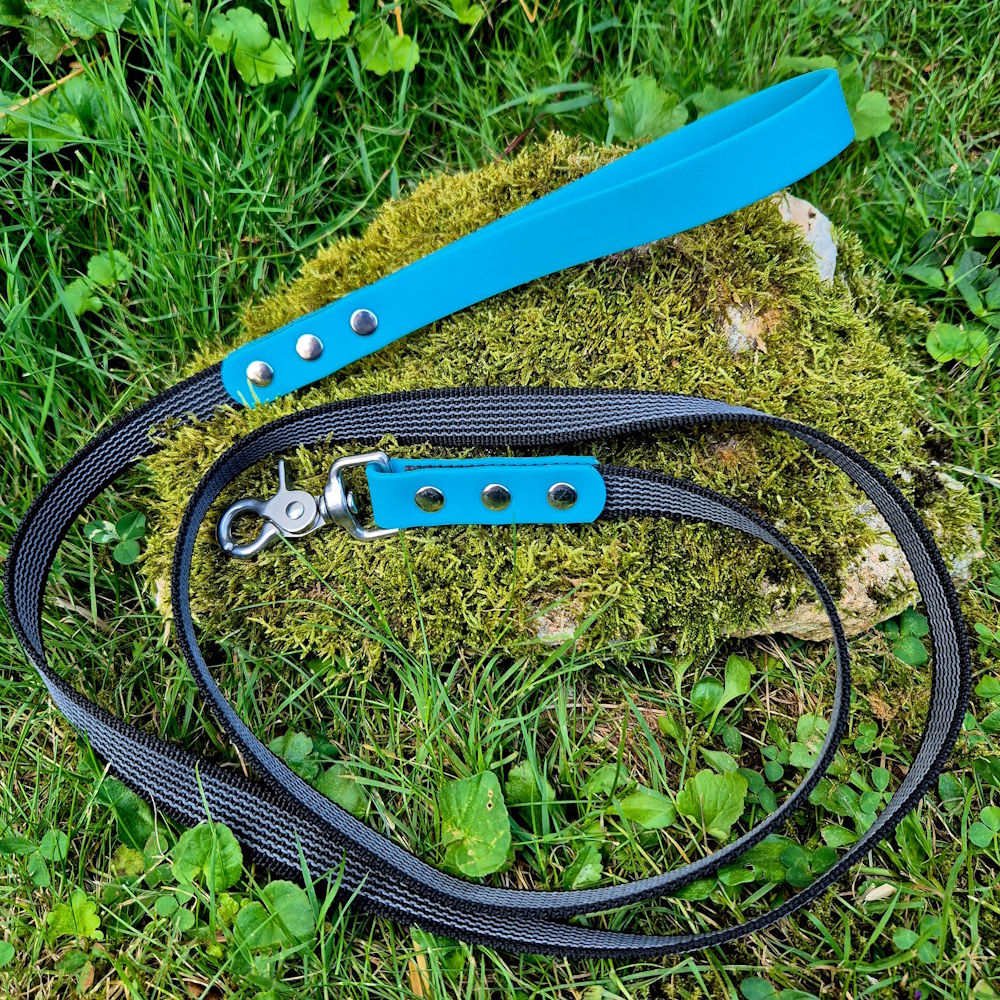 Laisse pawtex turquoise