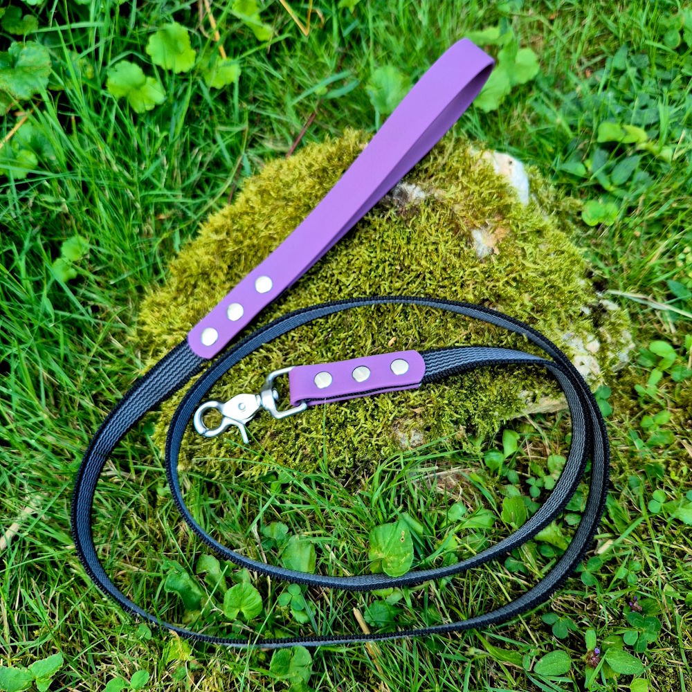 Laisse pawtex violet