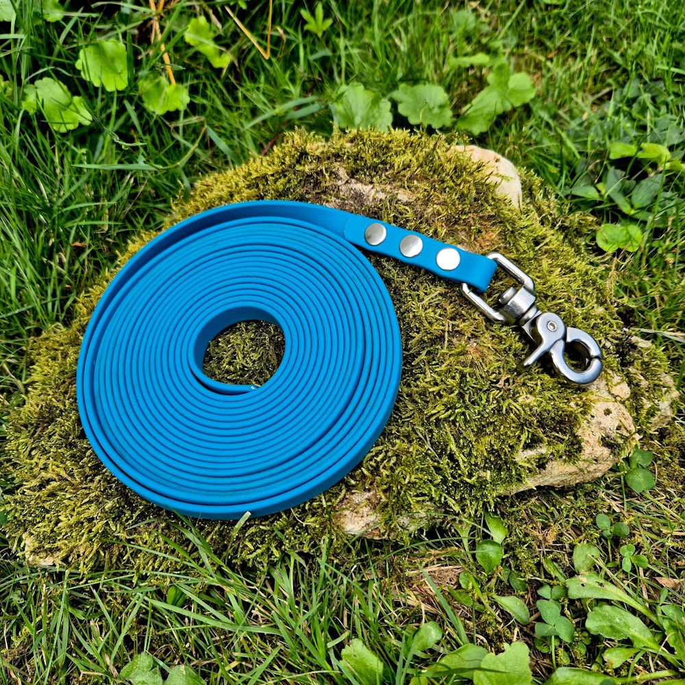 Longe biothane bleu lagune