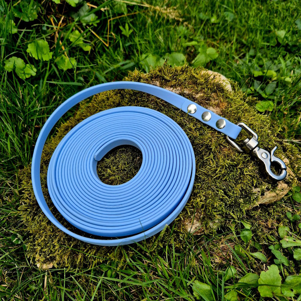 Longe biothane bleu polaire