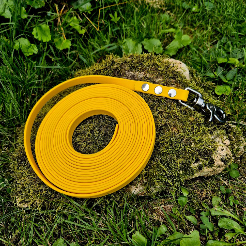 Longe biothane jaune