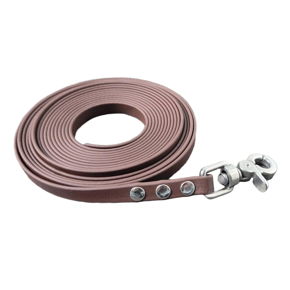 Longe biothane marron foncé