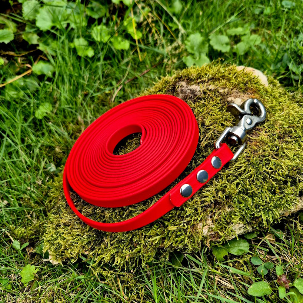 Longe biothane rouge