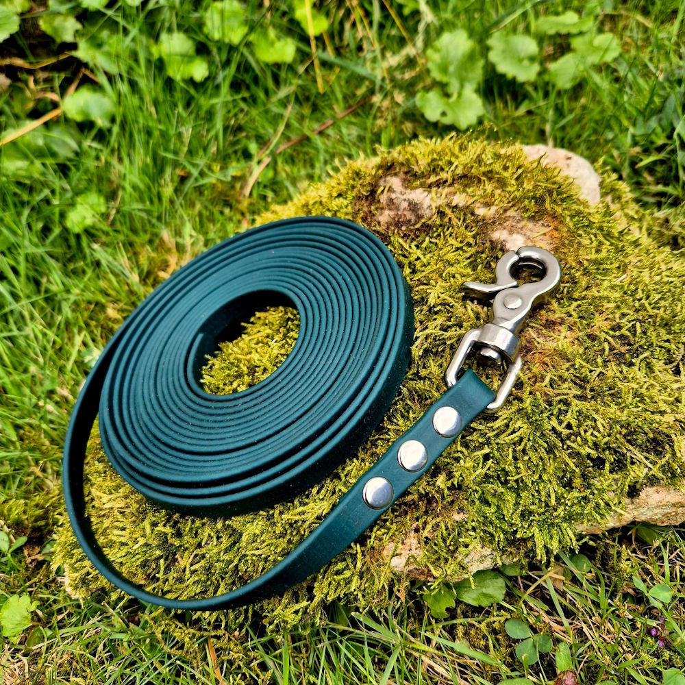 Longe biothane vert sapin