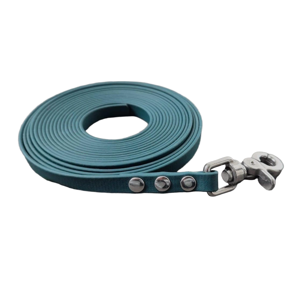 Longe biothane vert sapin