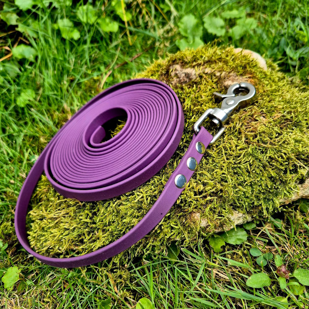 Longe biothane violet aubergine