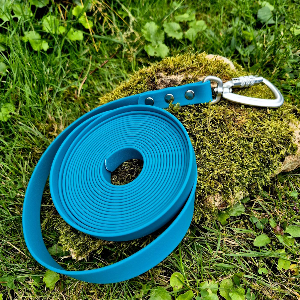 Longe pawtex bleu canard