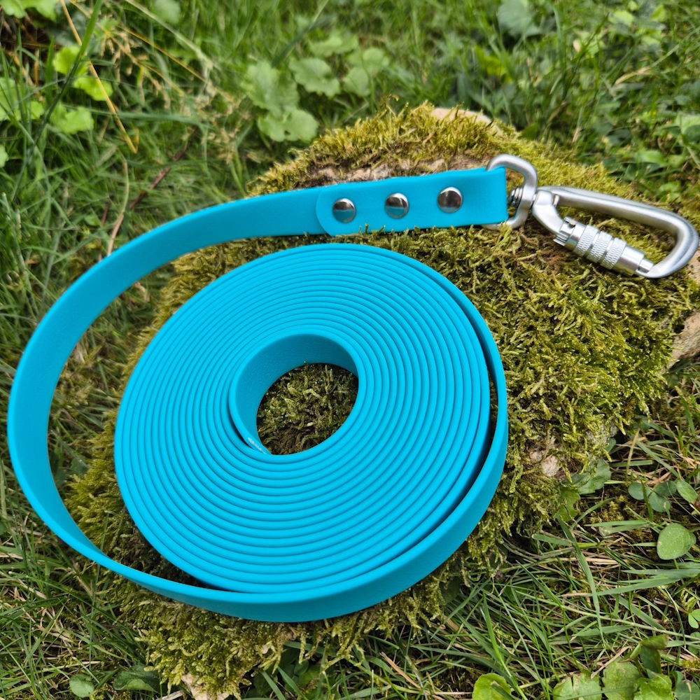 Longe pawtex turquoise