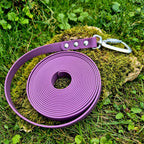 Longe pawtex violet