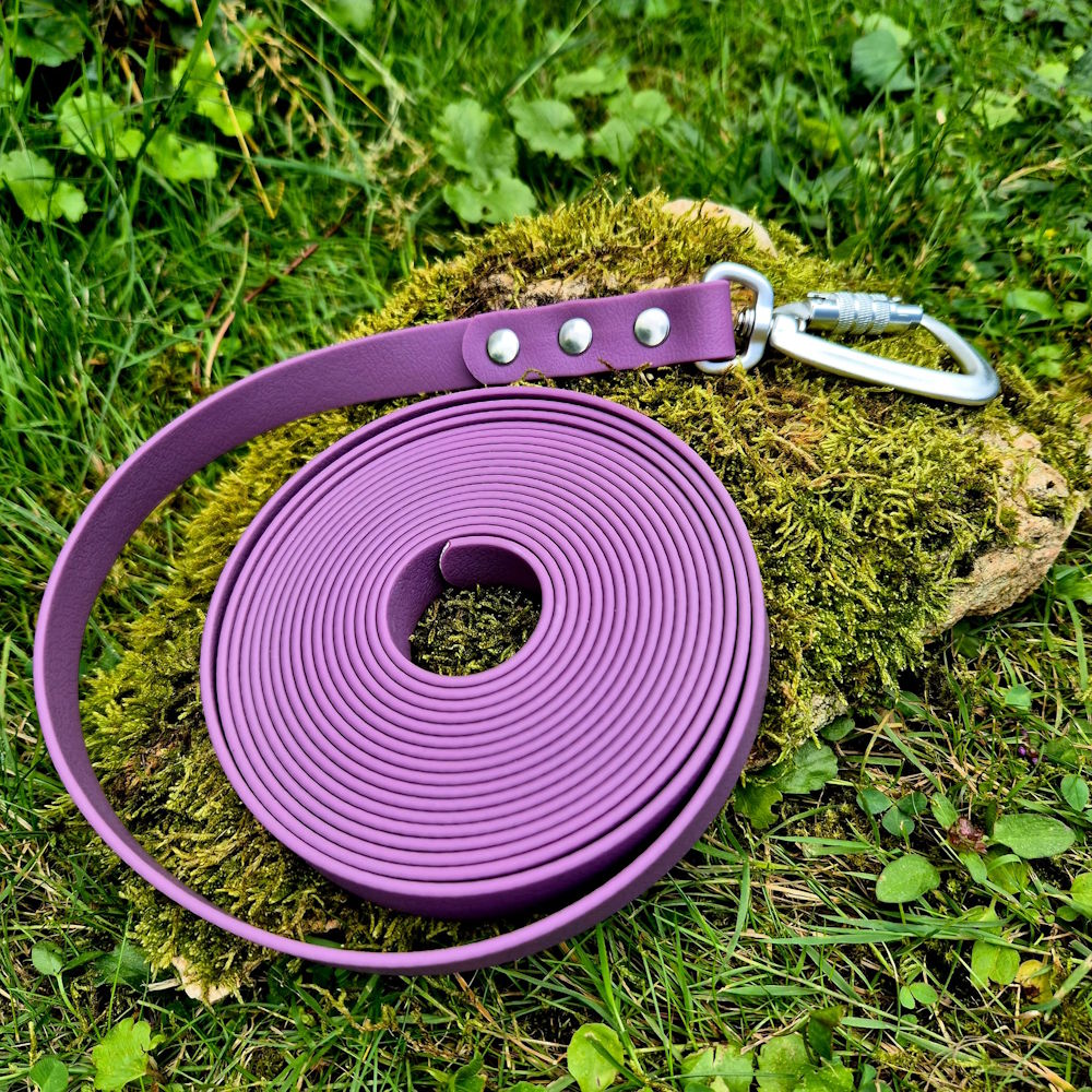 Longe pawtex violet