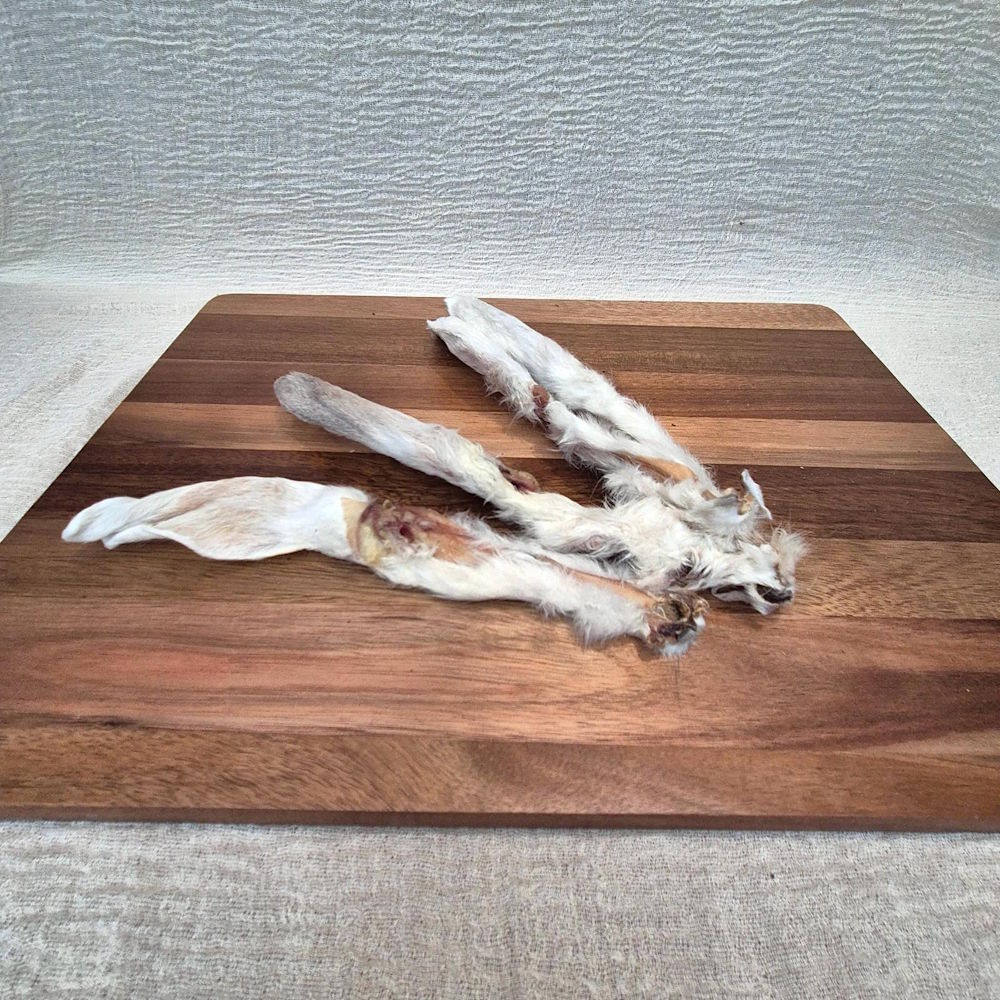 Oreilles de lapin avec poils