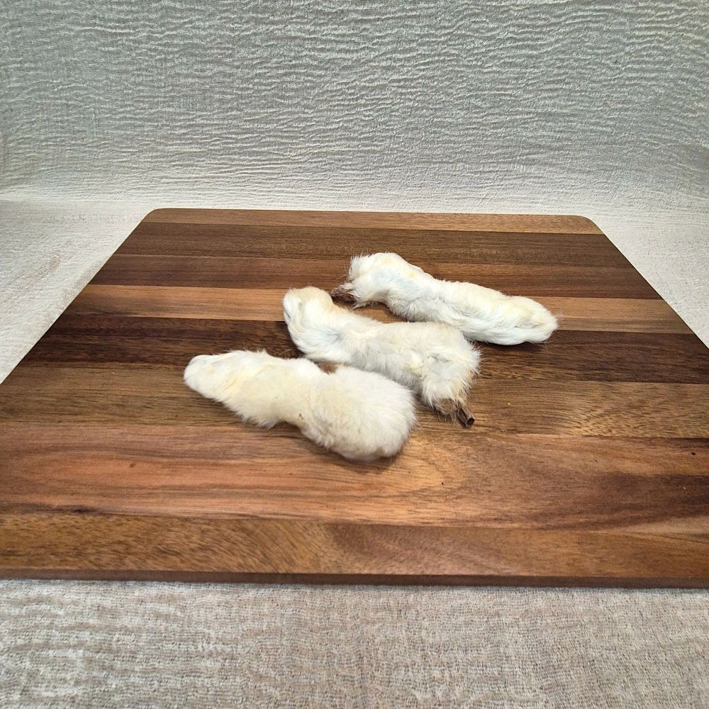 Pattes de lapin avec poils