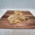 Plaques de boeuf