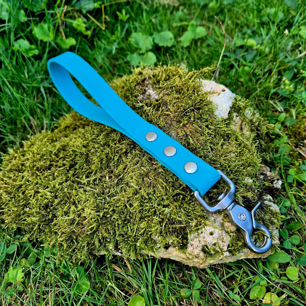 Poignée pawtex turquoise