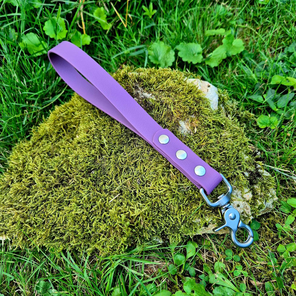 Poignée pawtex violet